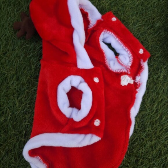 pet clothes, good condition - Picture 3 of 6